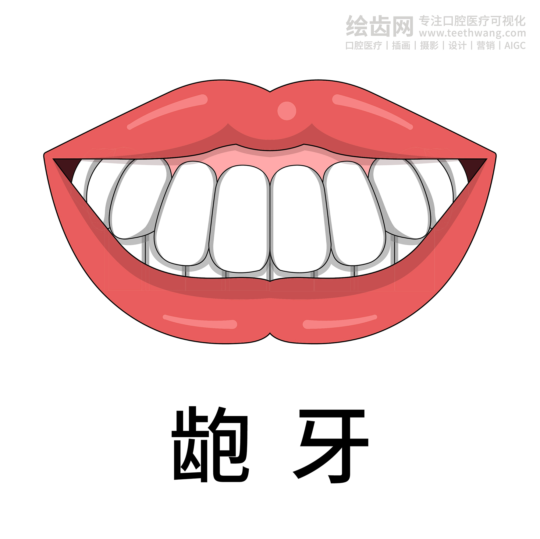 牙齿插画