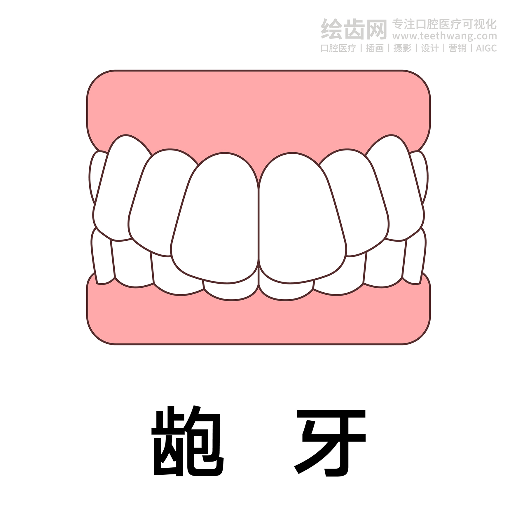 牙齿类型（合集白色） 卡通牙齿 口腔