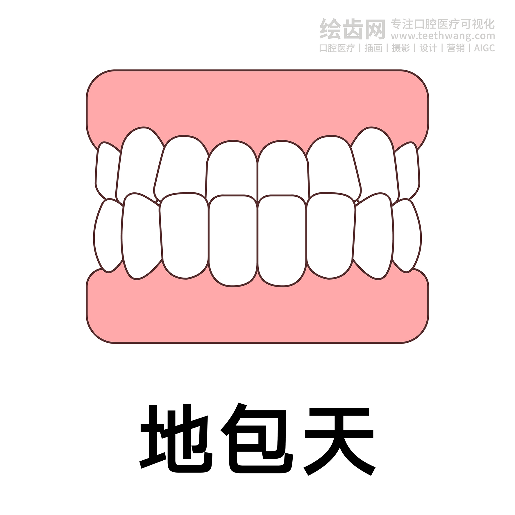 牙齿类型（合集白色） 卡通牙齿 口腔