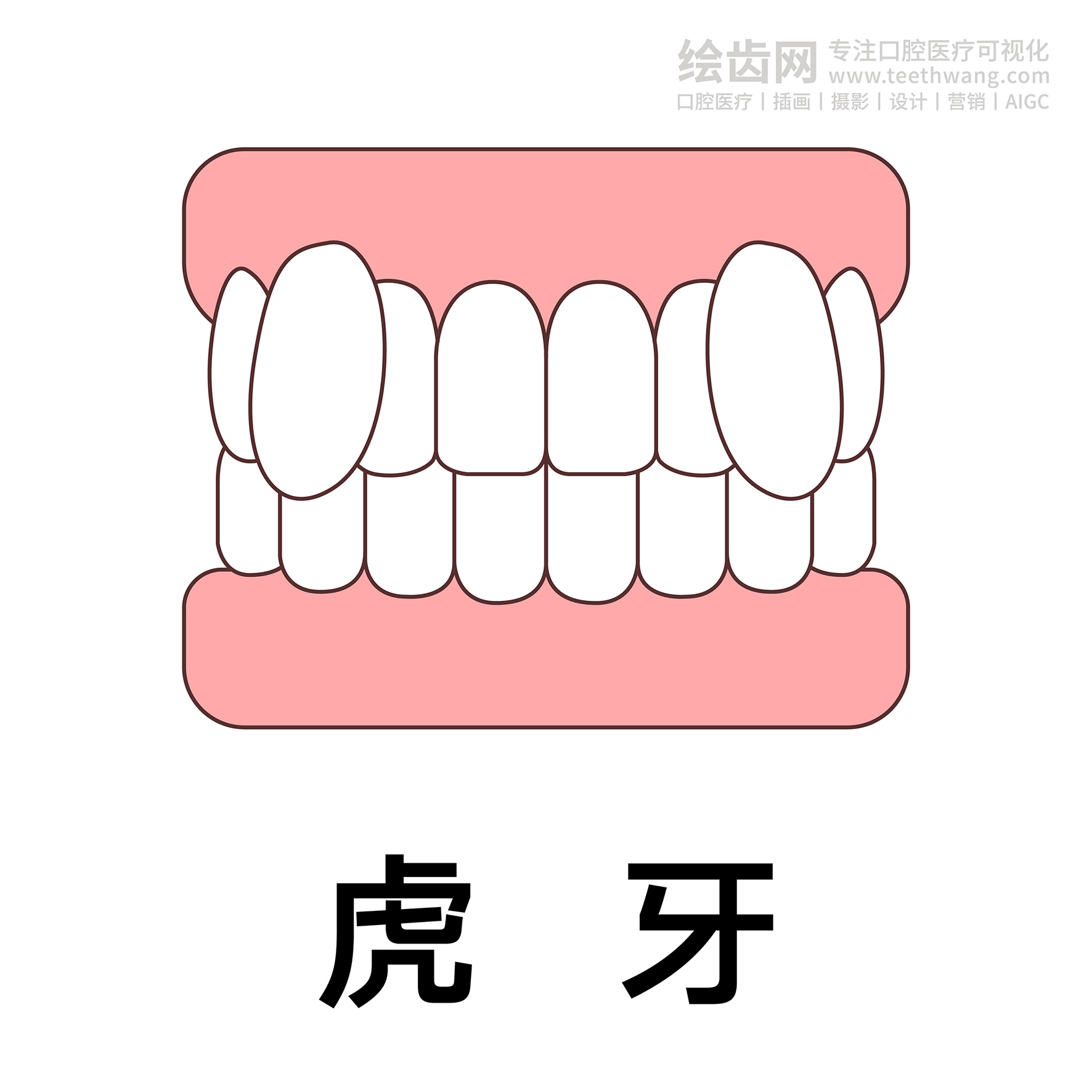 牙齿类型（合集白色） 卡通牙齿 口腔