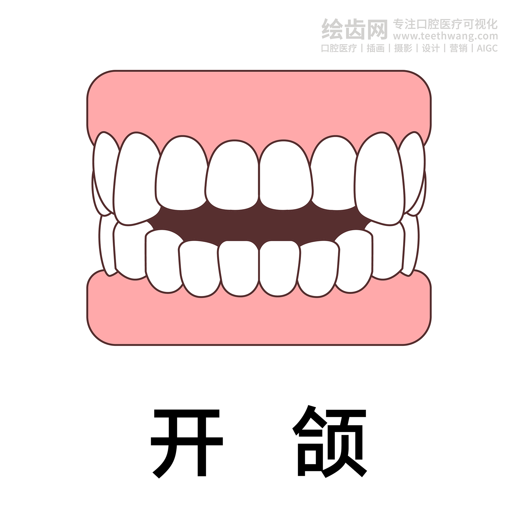 牙齿类型（合集白色） 卡通牙齿 口腔