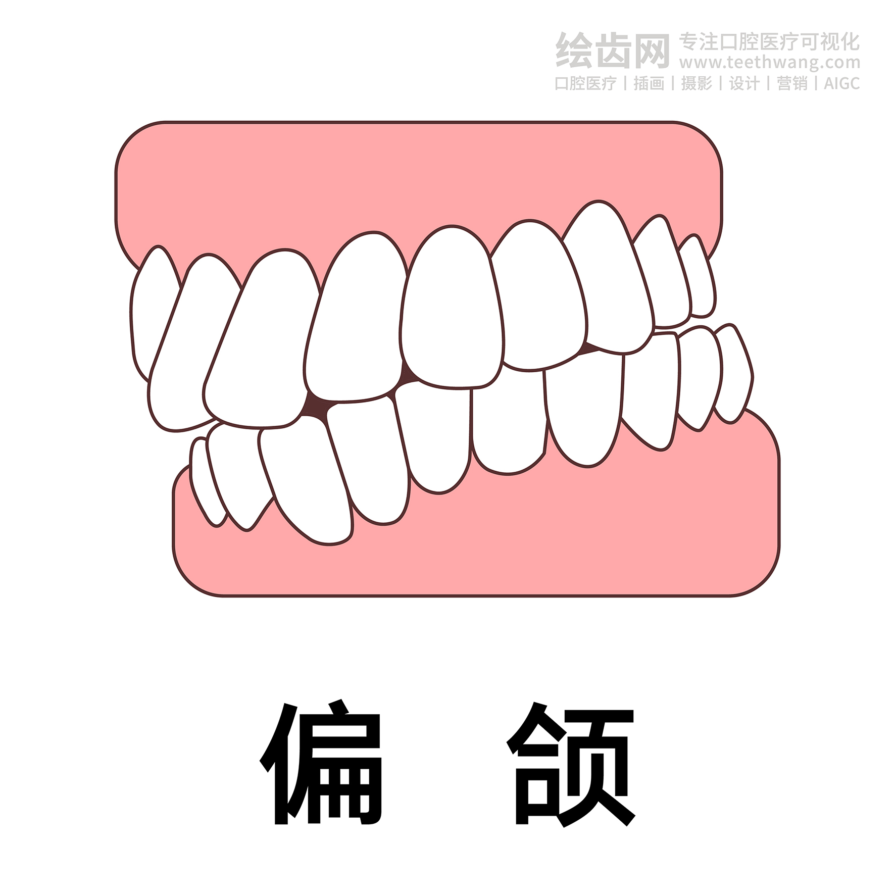牙齿类型（合集白色） 卡通牙齿 口腔