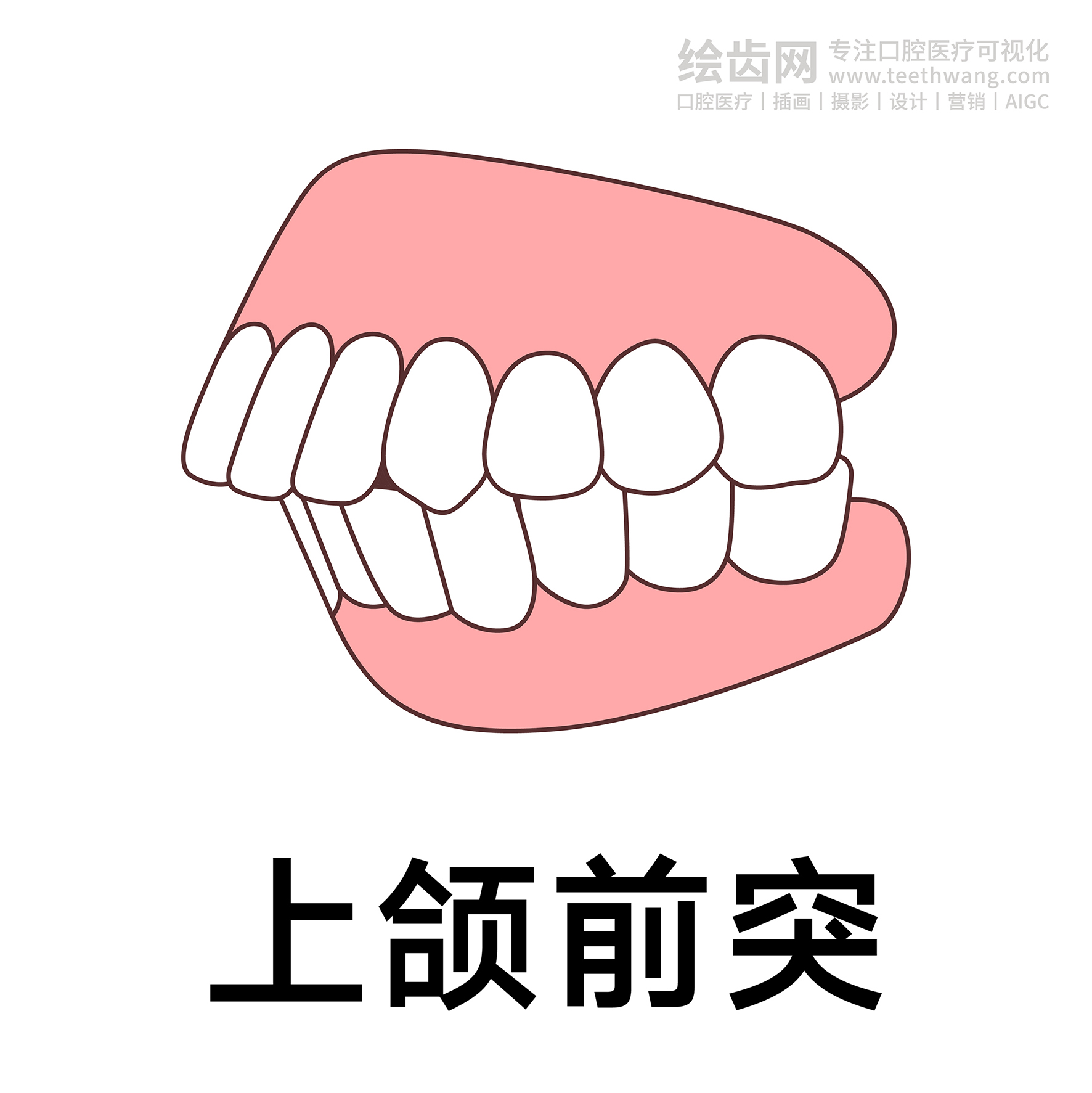 牙齿类型（合集白色） 卡通牙齿 口腔