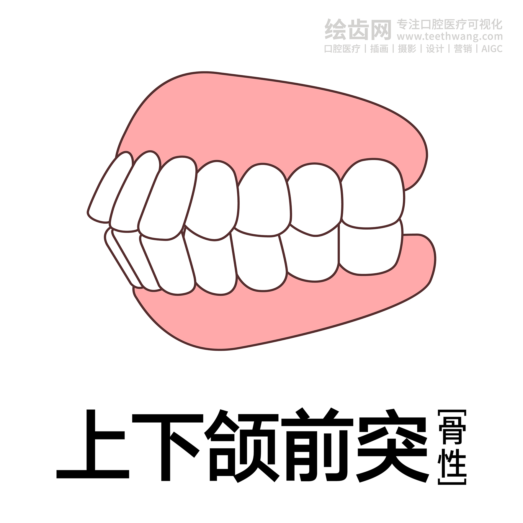 牙齿类型（合集白色） 卡通牙齿 口腔