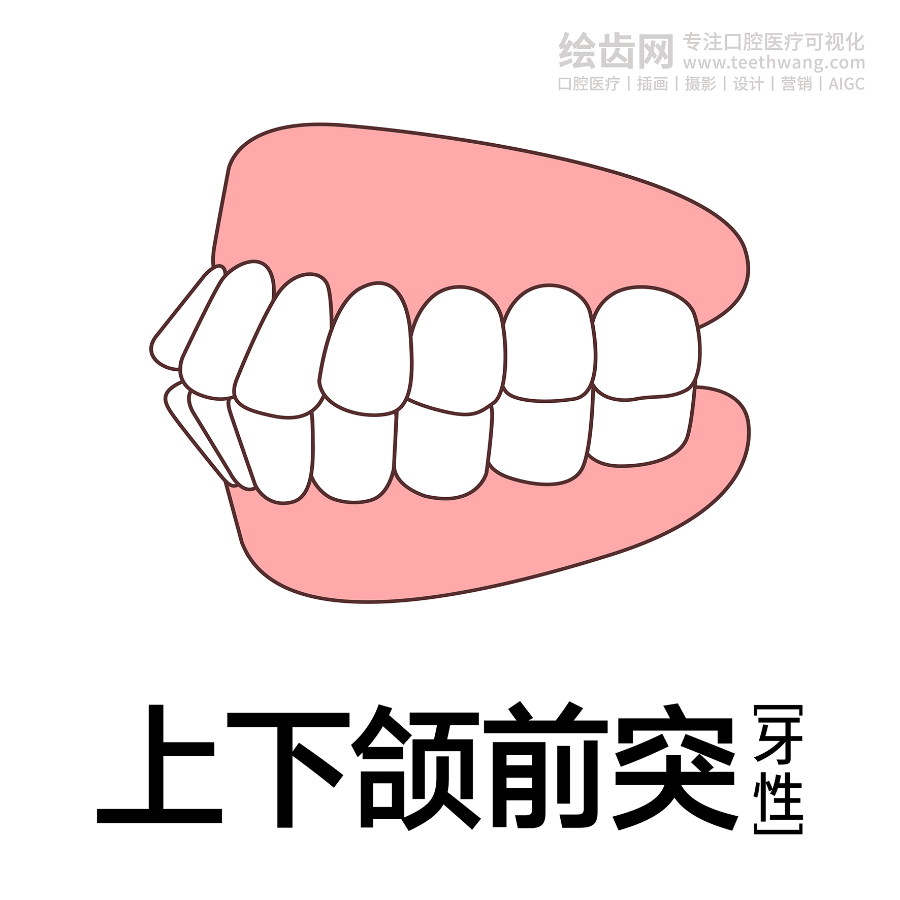 牙齿类型（合集白色） 卡通牙齿 口腔