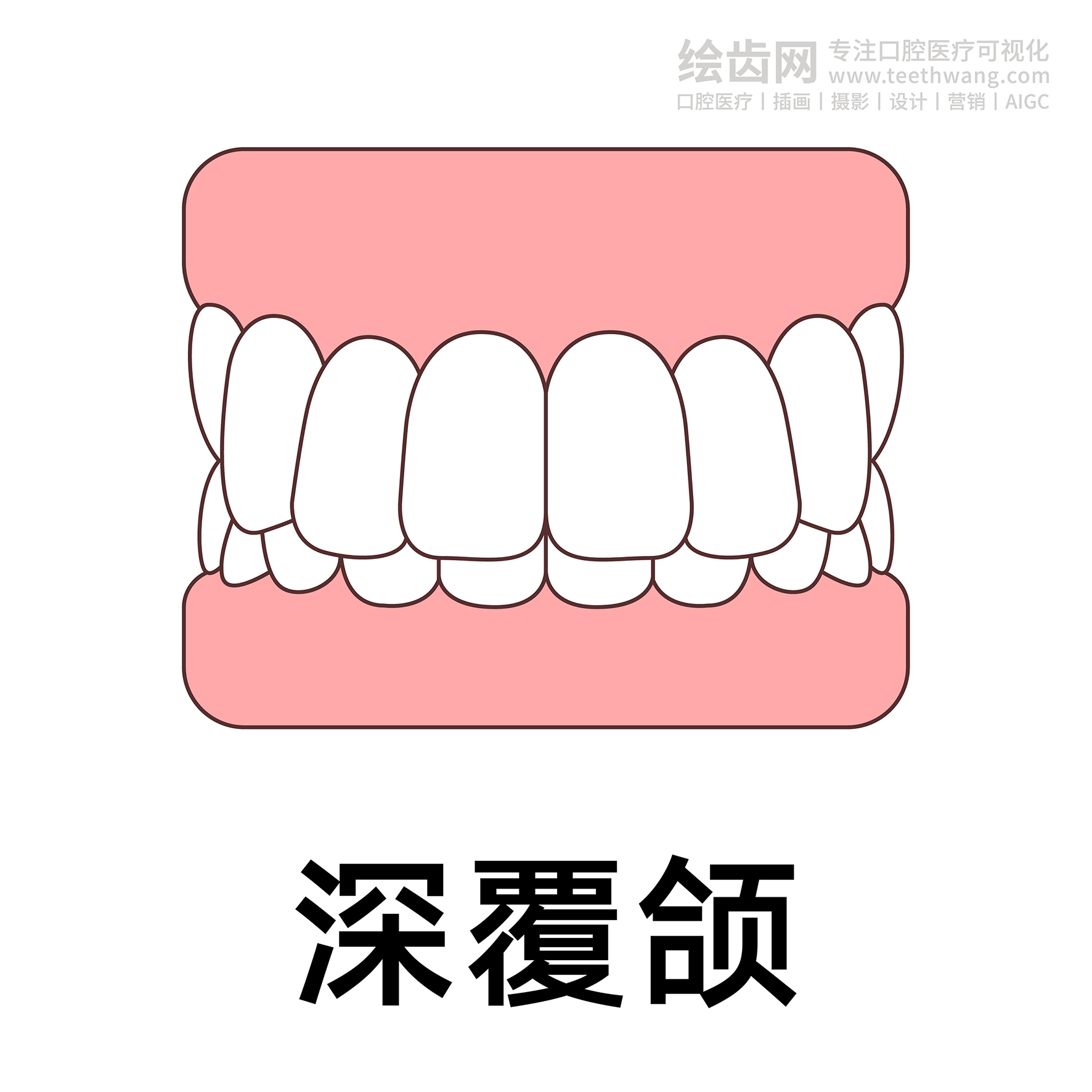 牙齿类型（合集白色） 卡通牙齿 口腔