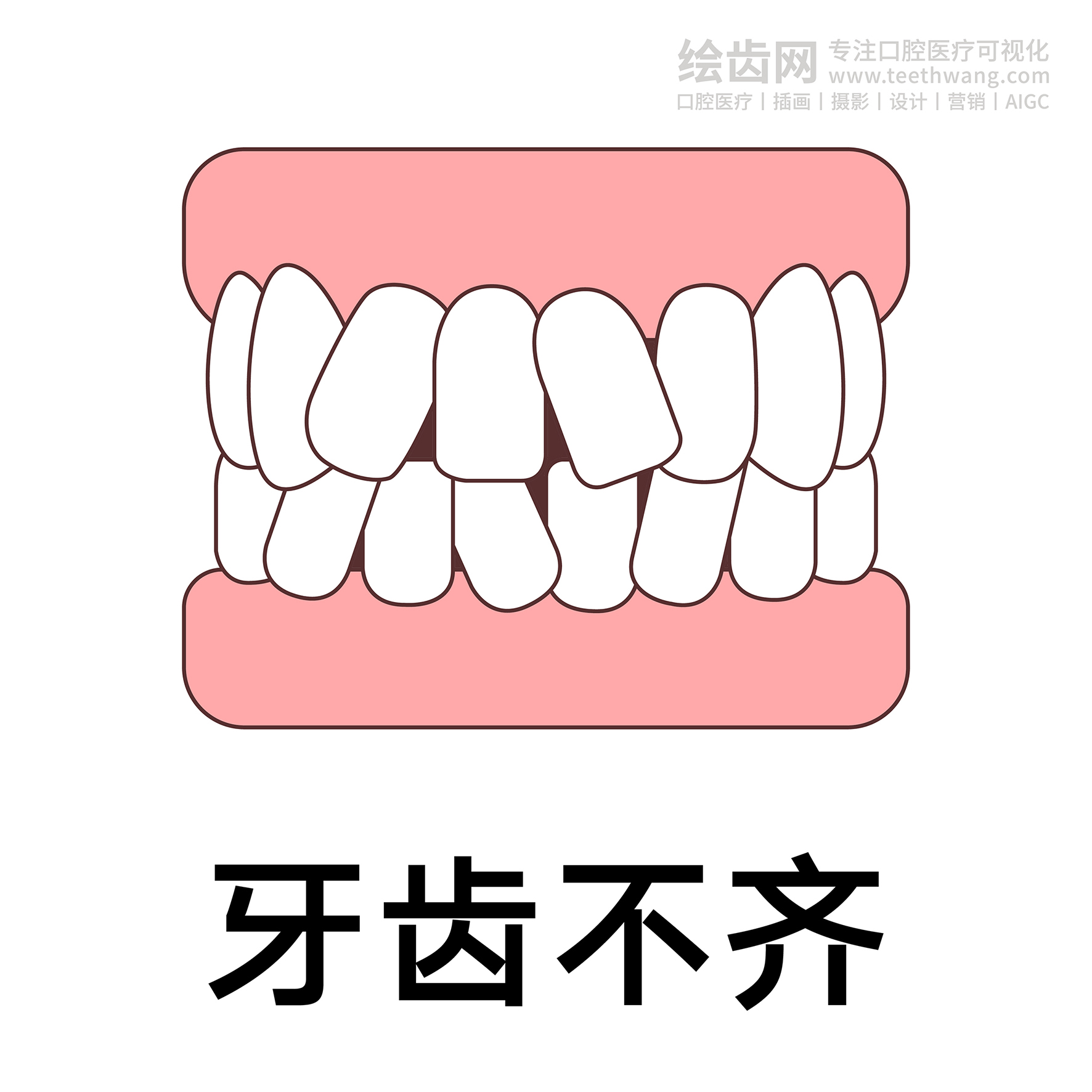 牙齿类型（合集白色） 卡通牙齿 口腔