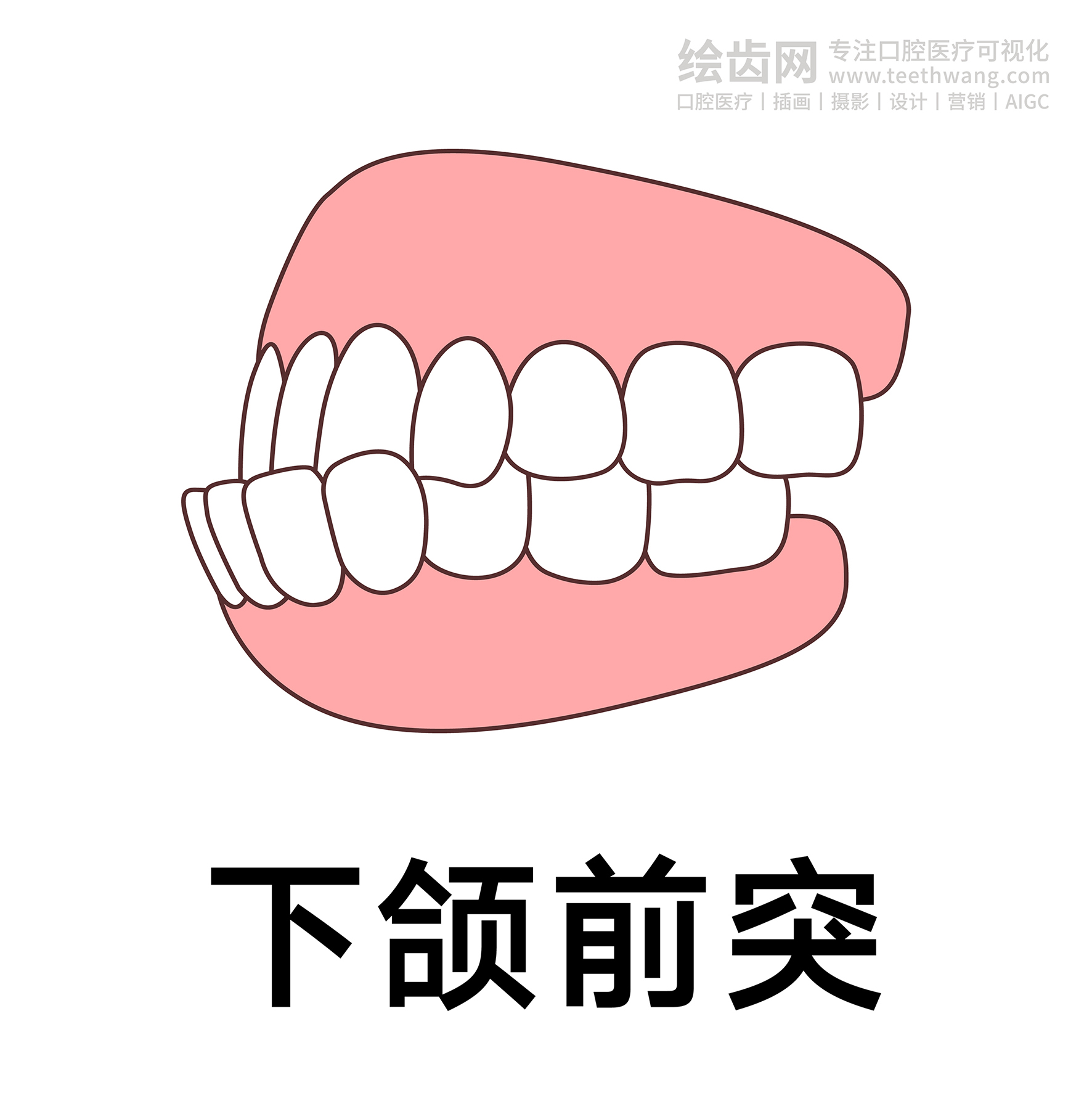 牙齿类型（合集白色） 卡通牙齿 口腔