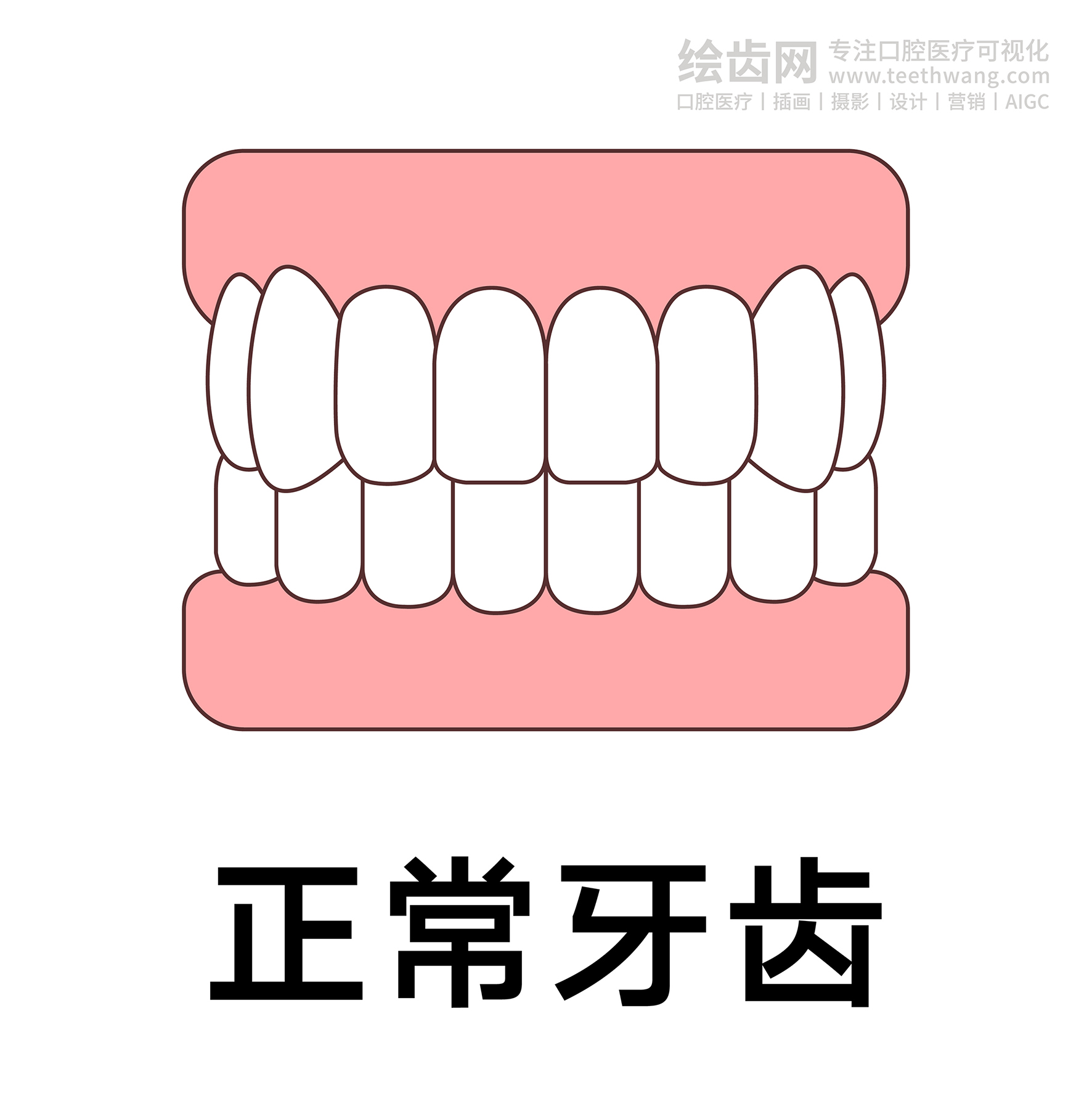 牙齿类型（合集白色） 卡通牙齿 口腔