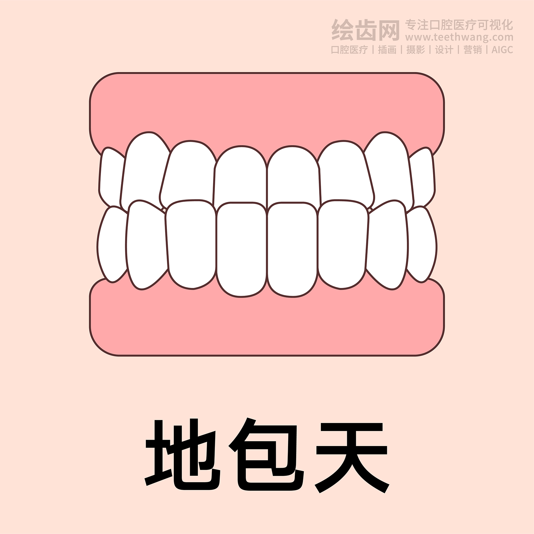 牙齿类型（合集黄色） 卡通牙齿 口腔