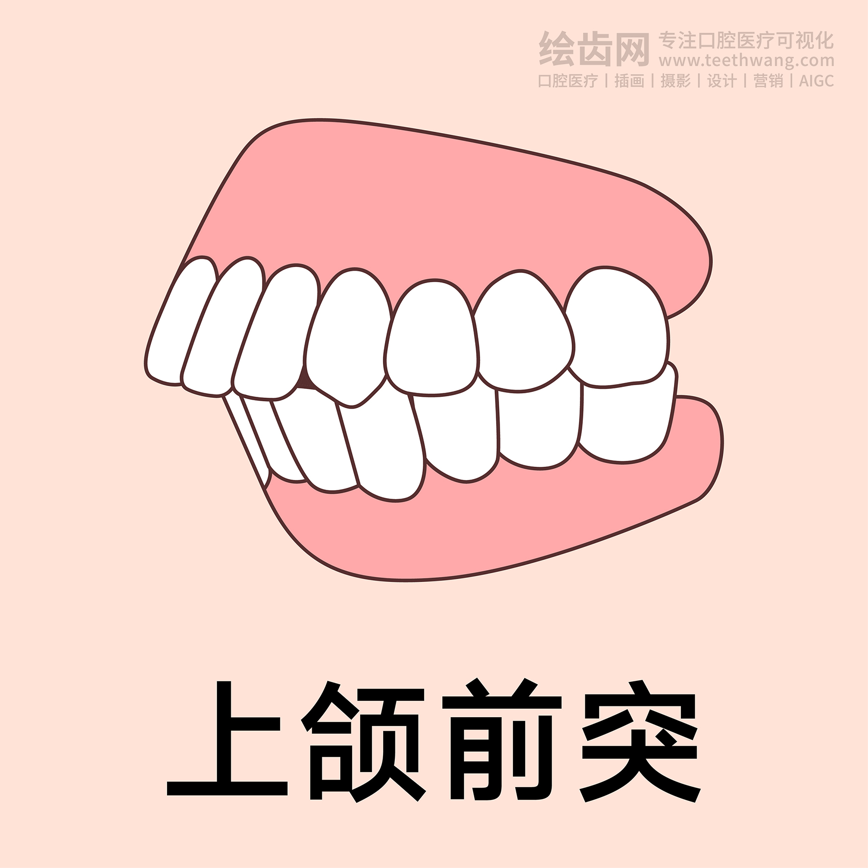 牙齿类型（合集黄色） 卡通牙齿 口腔