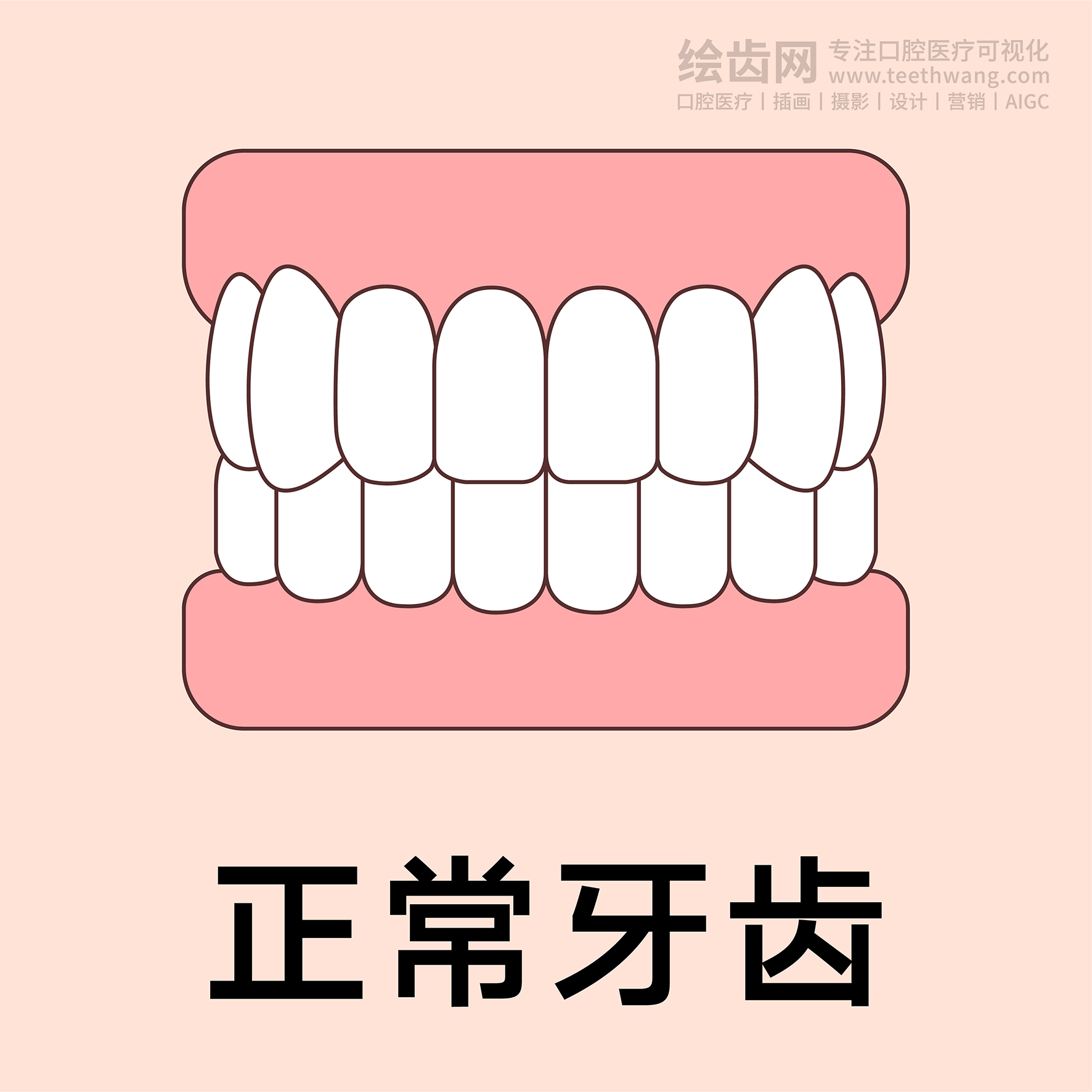 牙齿类型（合集黄色） 卡通牙齿 口腔