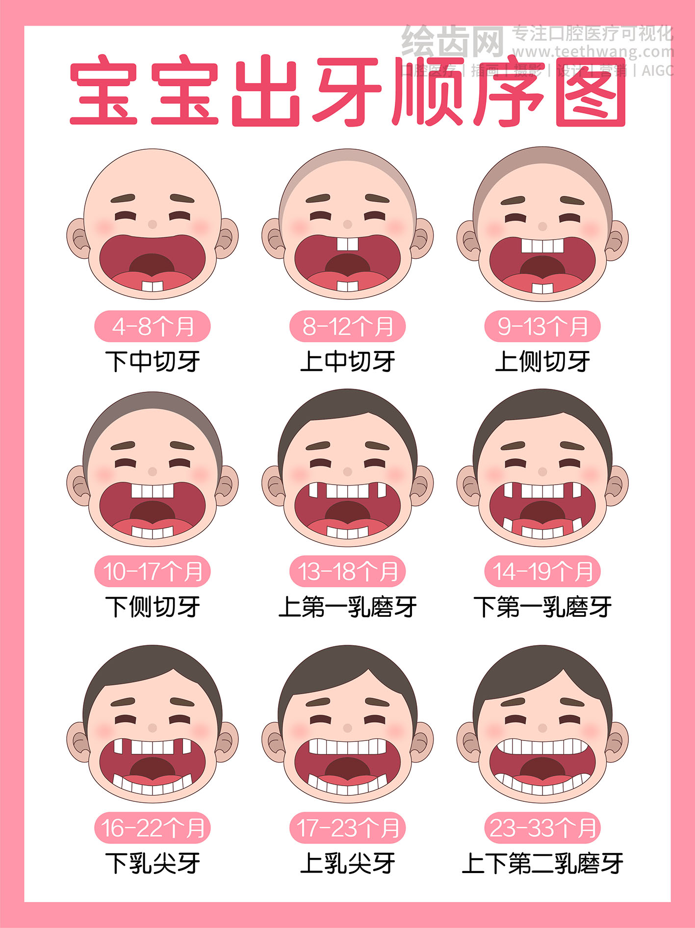 宝宝出牙顺序图
