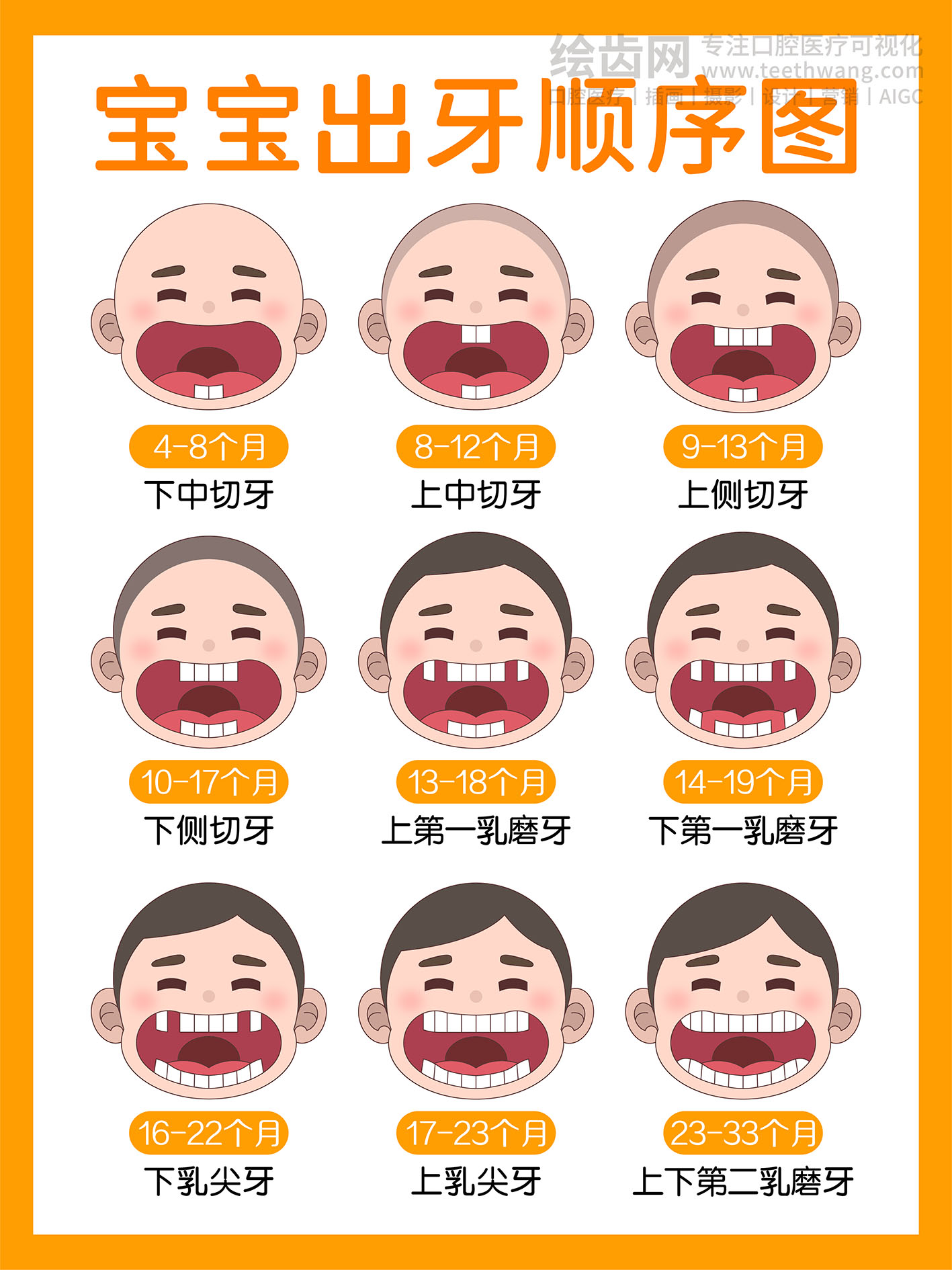 宝宝出牙顺序图